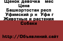 Щенок девочка 3 мес › Цена ­ 300 - Башкортостан респ., Уфимский р-н, Уфа г. Животные и растения » Собаки   